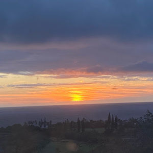 Meet your Posher, Kayani